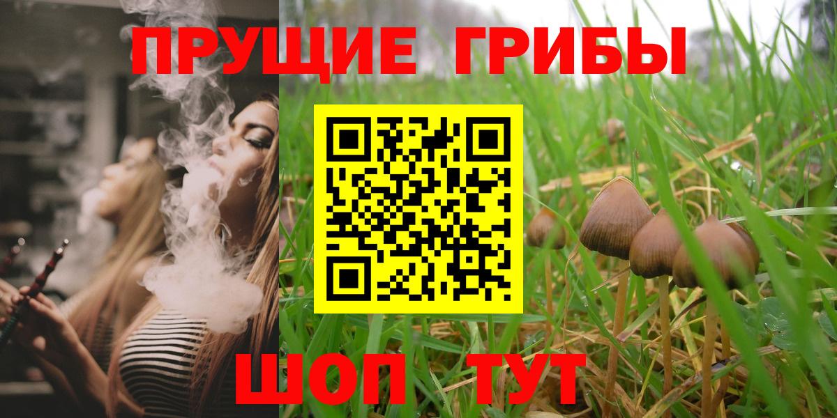 Псилоцибиновые грибы ЛСД Южно-Сахалинск