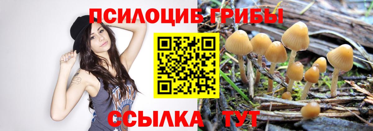 Псилоцибиновые грибы Cubensis  Вход с VPN  купить закладку  Южно-Сахалинск 